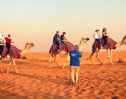 Passeio de camelo em Dubai
