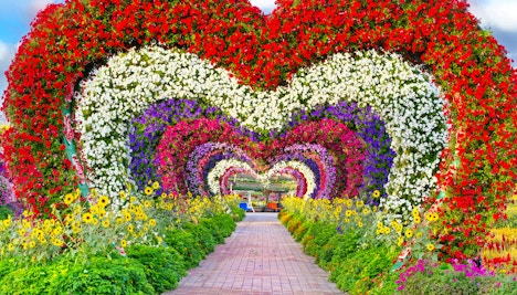 Herztunnel Dubai Miracle Garden