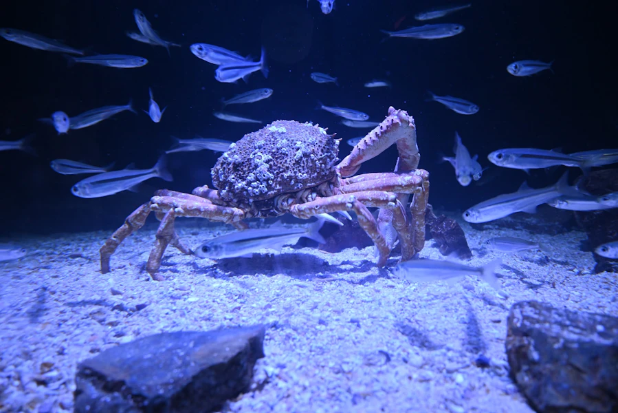 paris aquarium