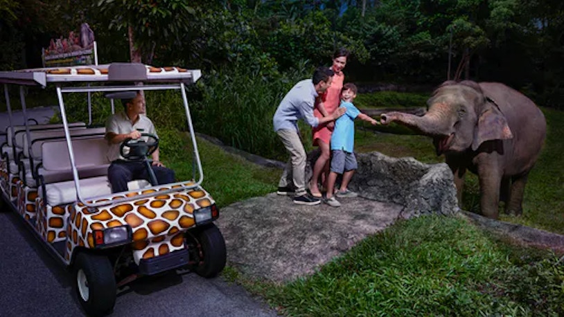 night safari and zoo Night Safari Singapore Tickets
