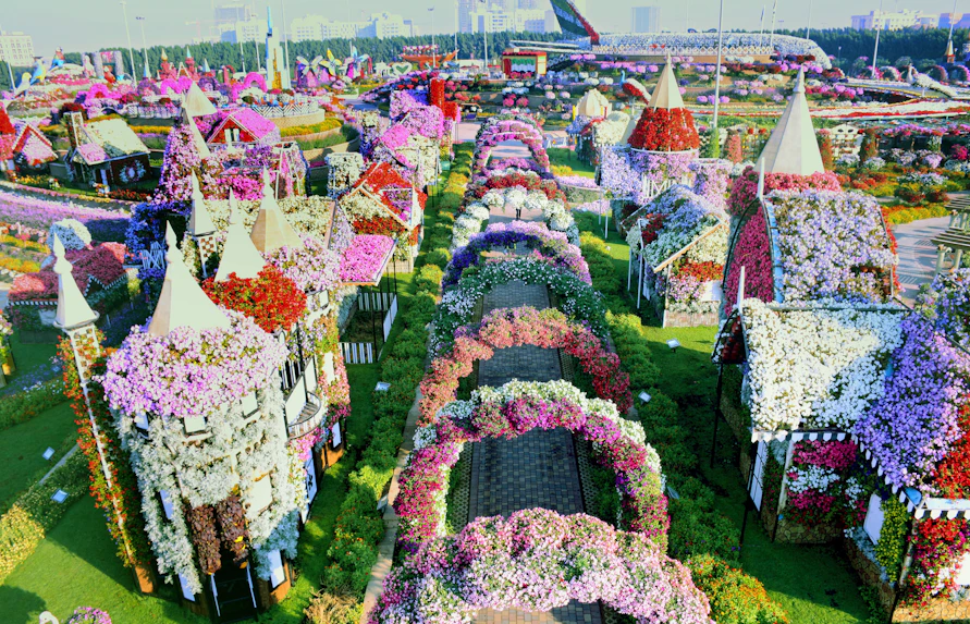 Miracle Garden Facts