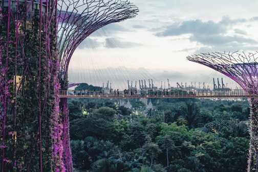 Gardens by the Bay Attractions
