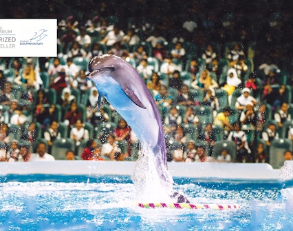 Best Time to visit - Dubai Dolphinarium