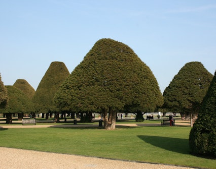 Hampton Court Gardens