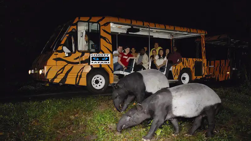 night safari and zoo Night Safari Singapore Tickets