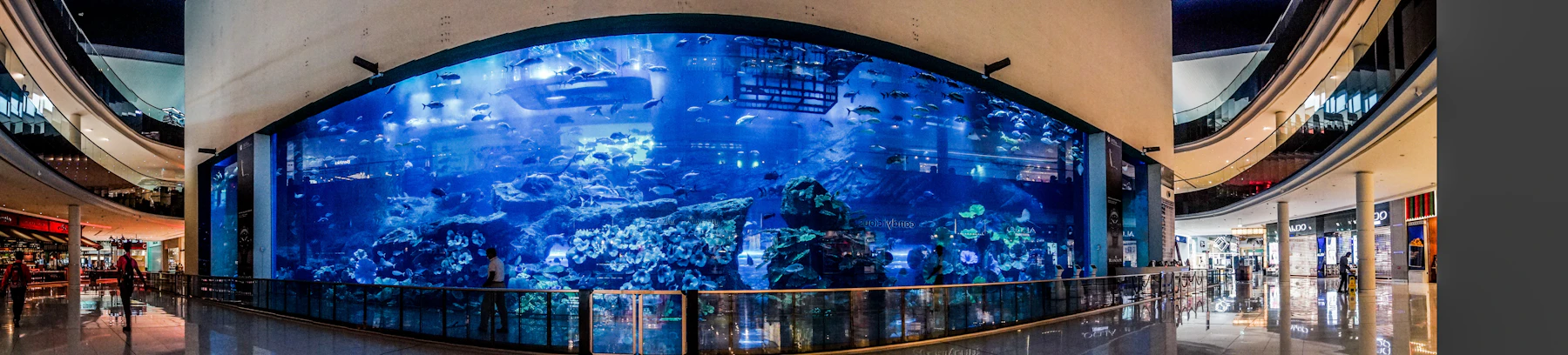 dubai aquarium