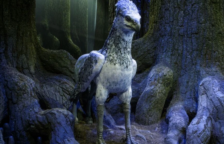 harry potter studio tour