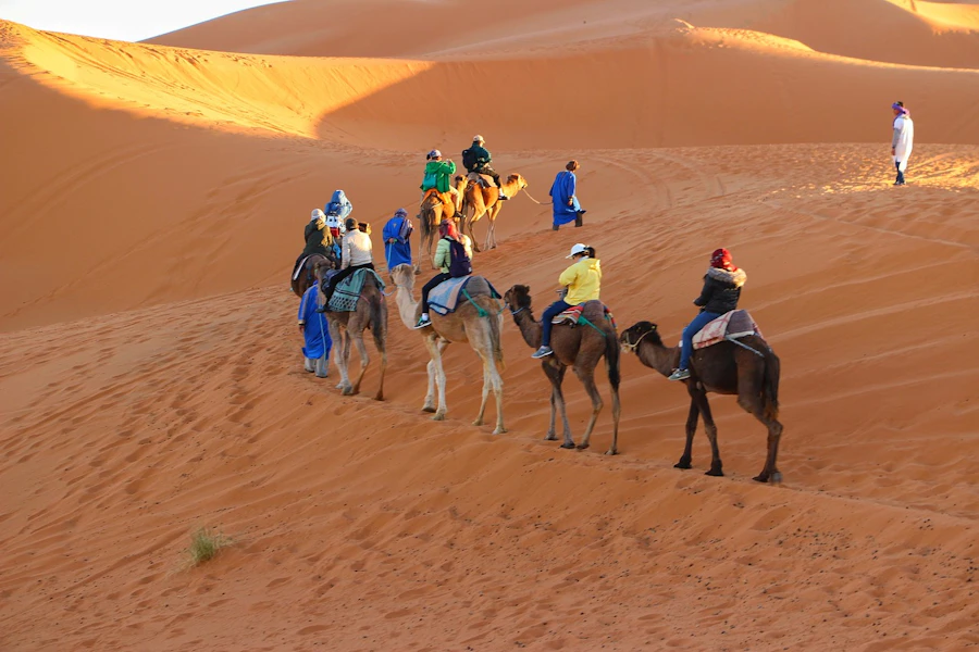 Dubai Desert Safari Location