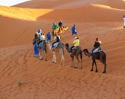 Dubai Travel Guide - Camel Rides