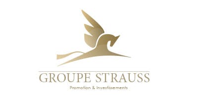 Logo Groupe Strauss