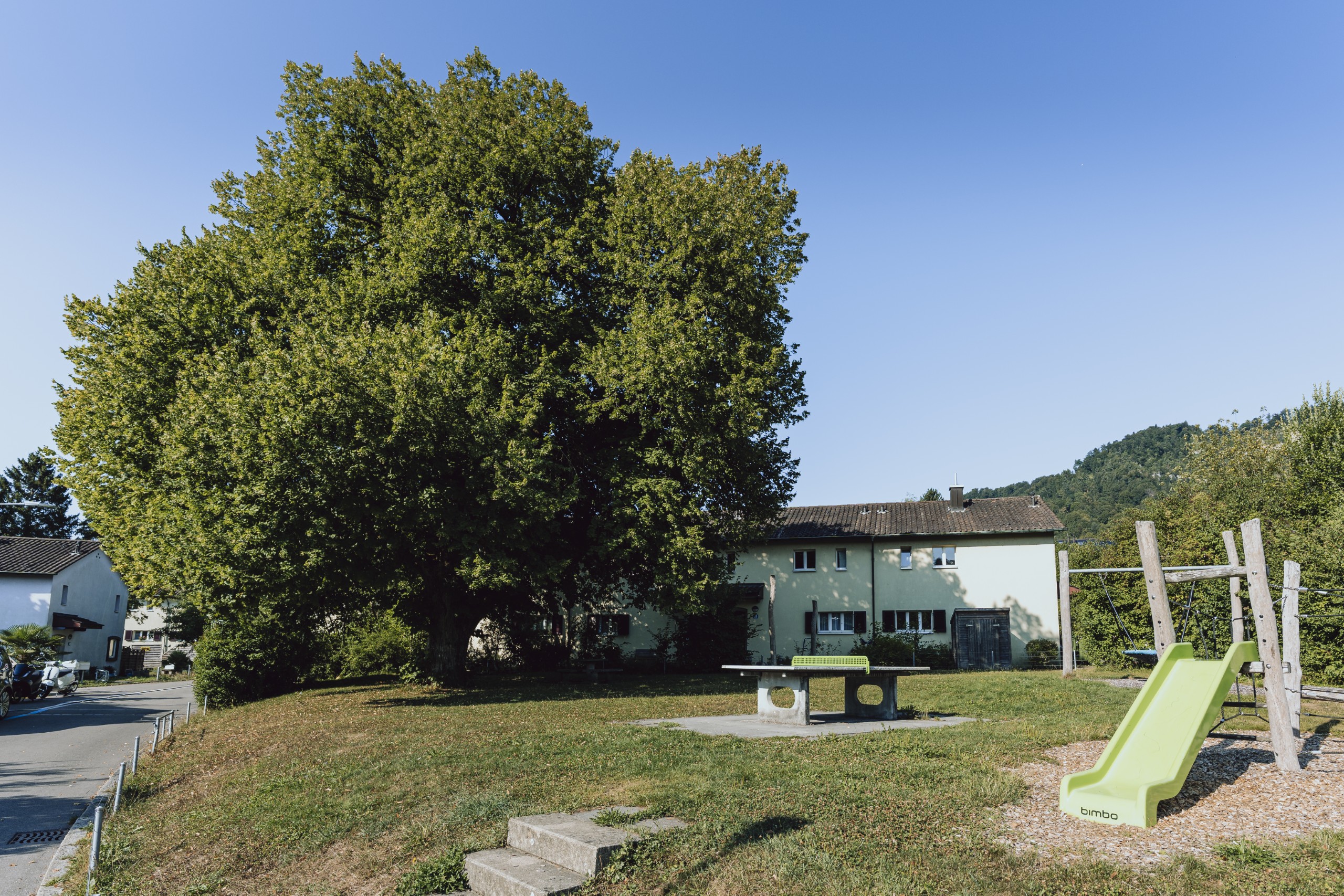 Naef & Partner - Referenz - Zürich-Leimbach Bruderwies - Linde