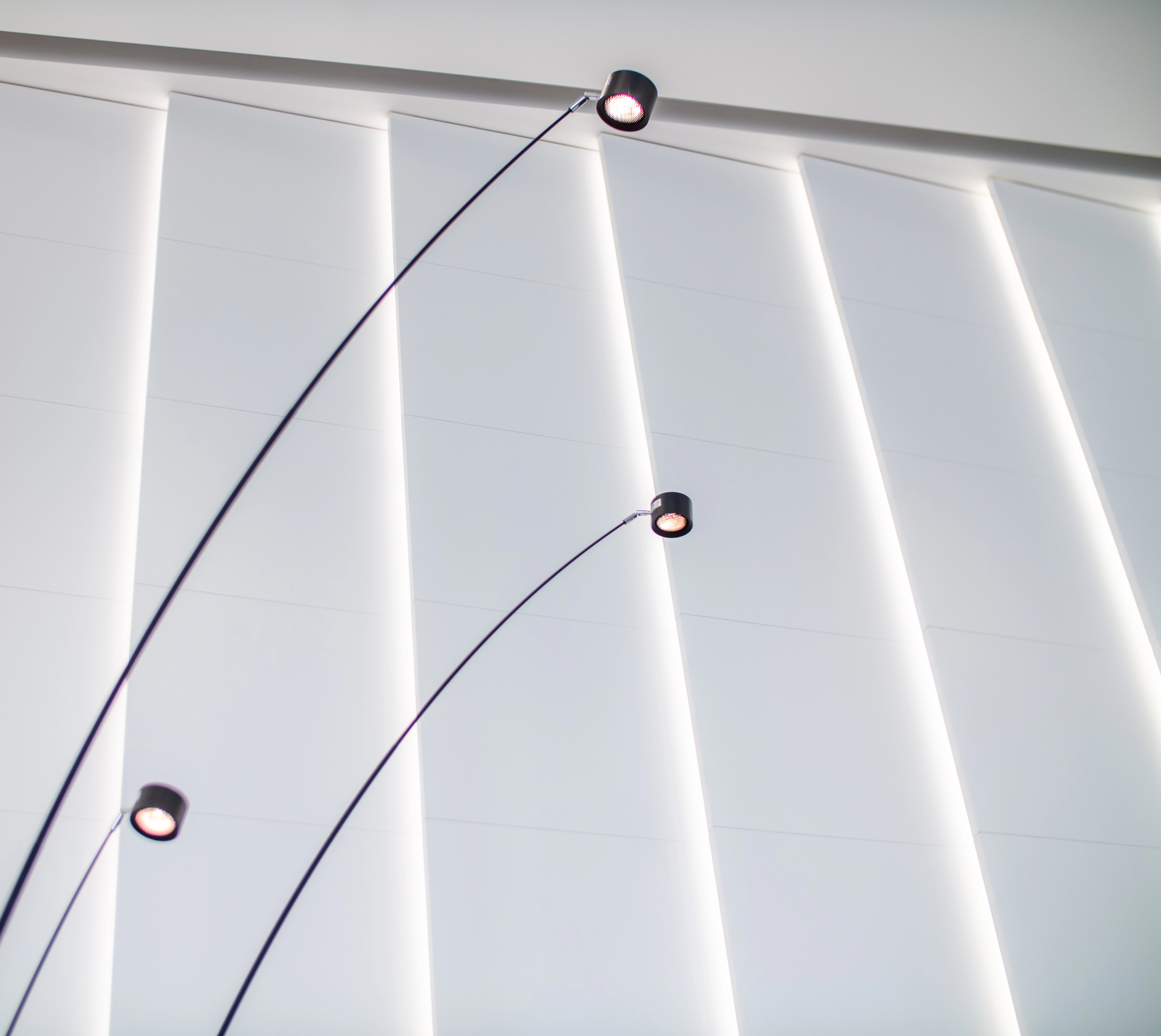Modern architectural lighting design inside 2000 Market Place, showcasing a sleek black branched spotlight lamp and elegant wall paneling for a sophisticated and minimalist aesthetic.
