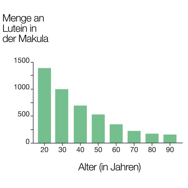 Grafik: Menge an Lutein in der Makula im Alter