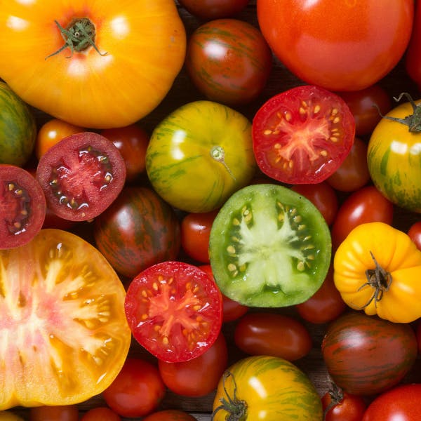 Tomaten sind eine echte Bereicherung für unsere Gesundheit