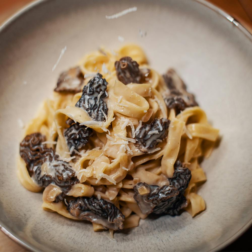 Nouilles à la sauce aux morilles et émincé de poulet 