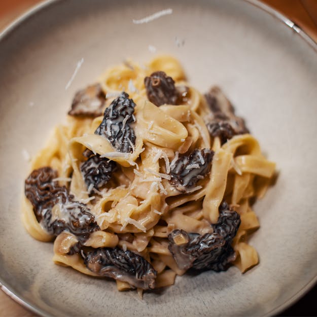 Nudeln mit Morchel Sauce und Poulet Geschnetzeltem