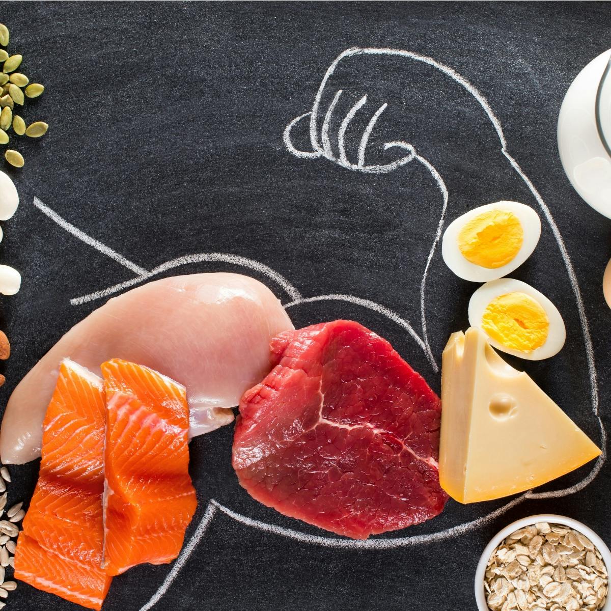 Aufgaben von Proteinen im Körper