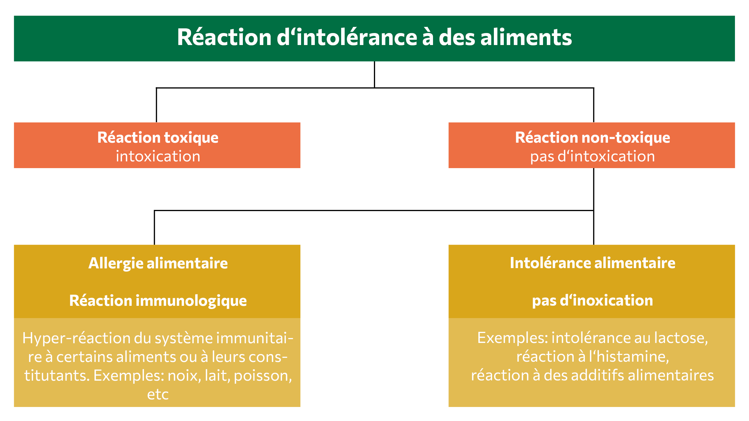 Les Allergies Et Les Intolérances Alimentaires