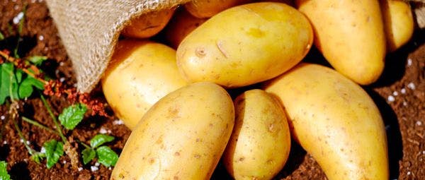 Patate: un alimento prezioso