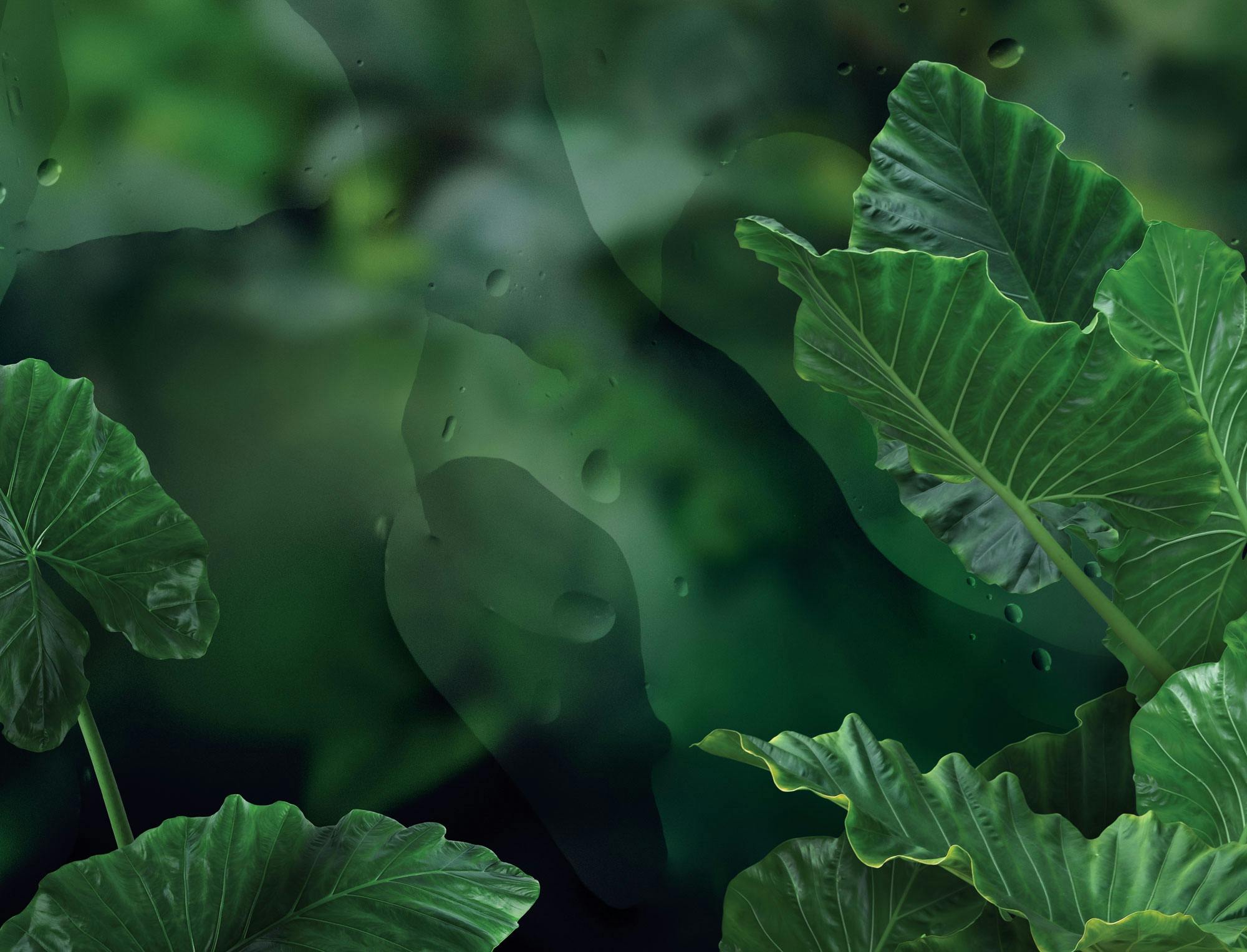 GREEN DENACOL TDS Cover