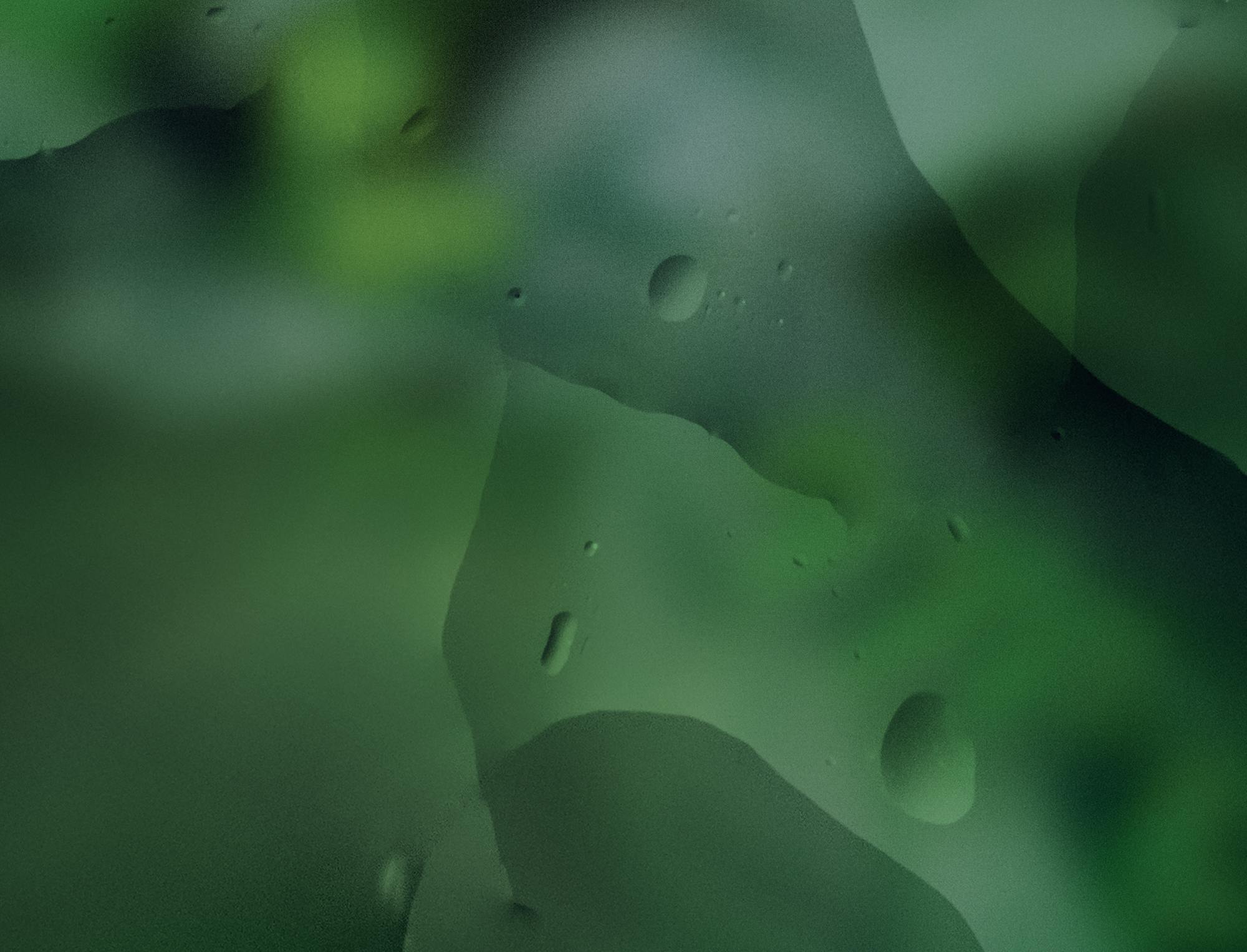 GREEN DENACOL Whitepaper Cover