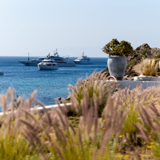 Grass plants overlooking the Aegean Sea and yachts