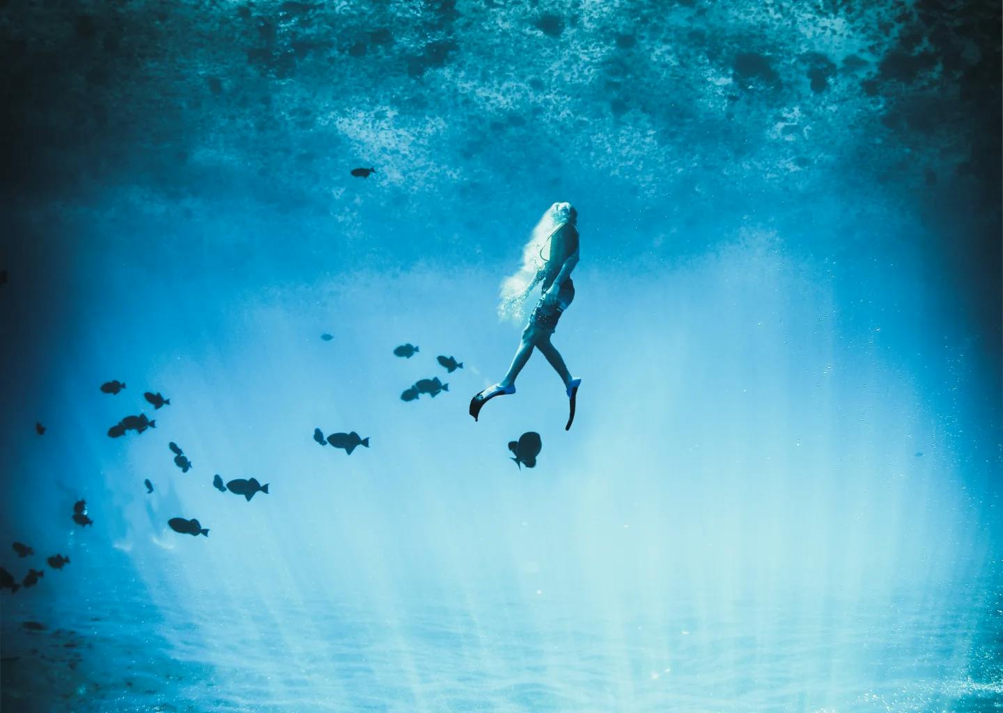 Freediving in the Maldives