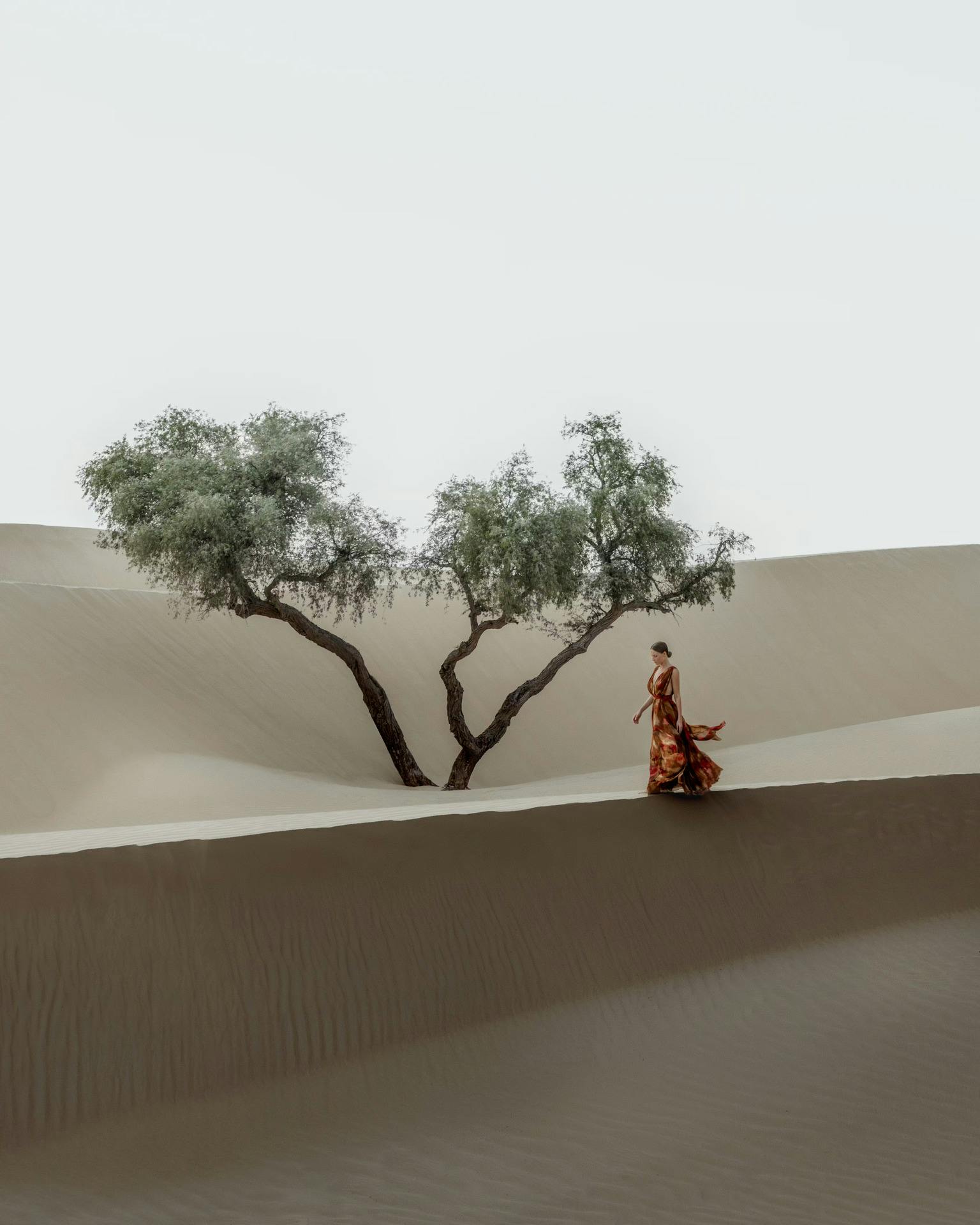 Lady walking past tree in desert in Abu Dhabi