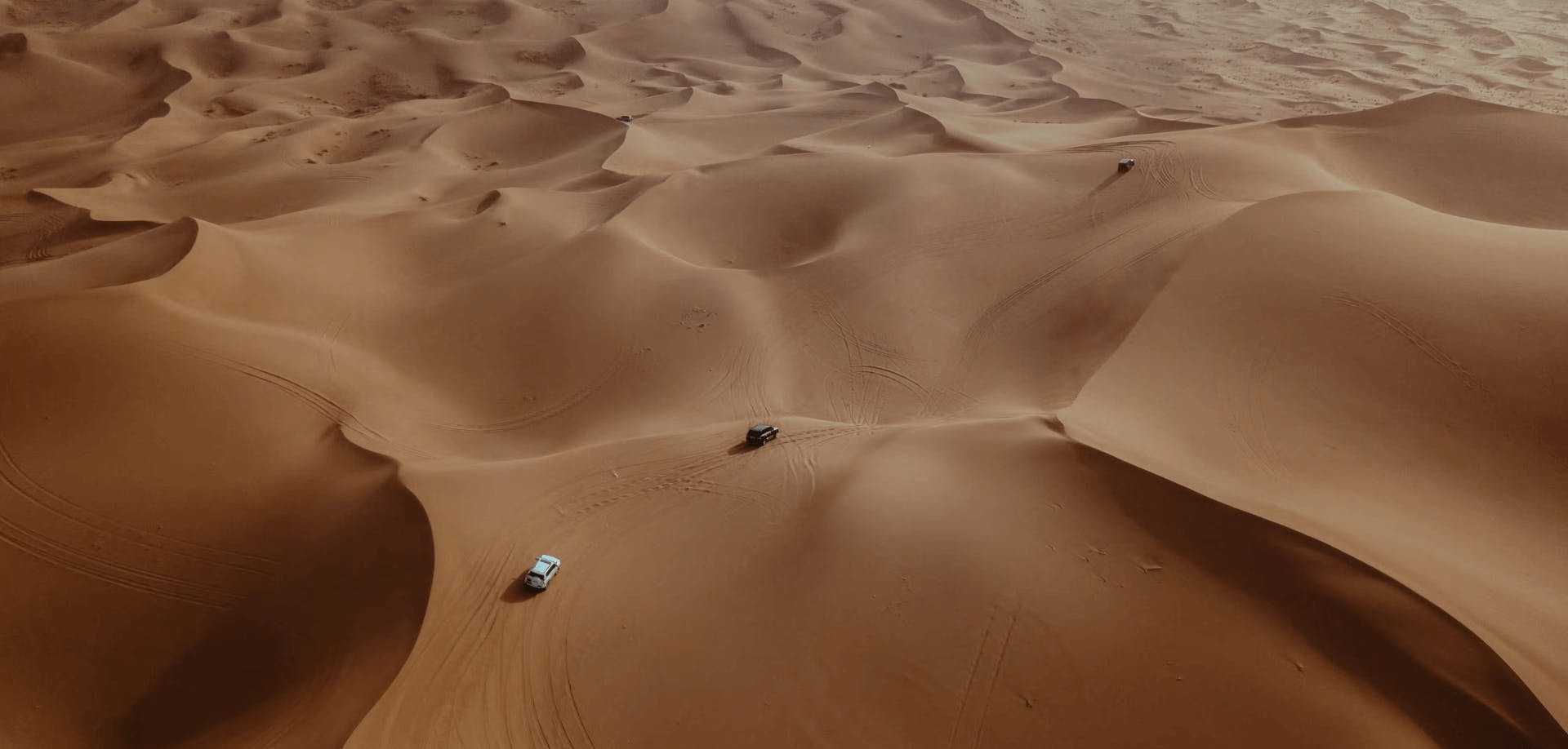 Desert in Abu Dhabi