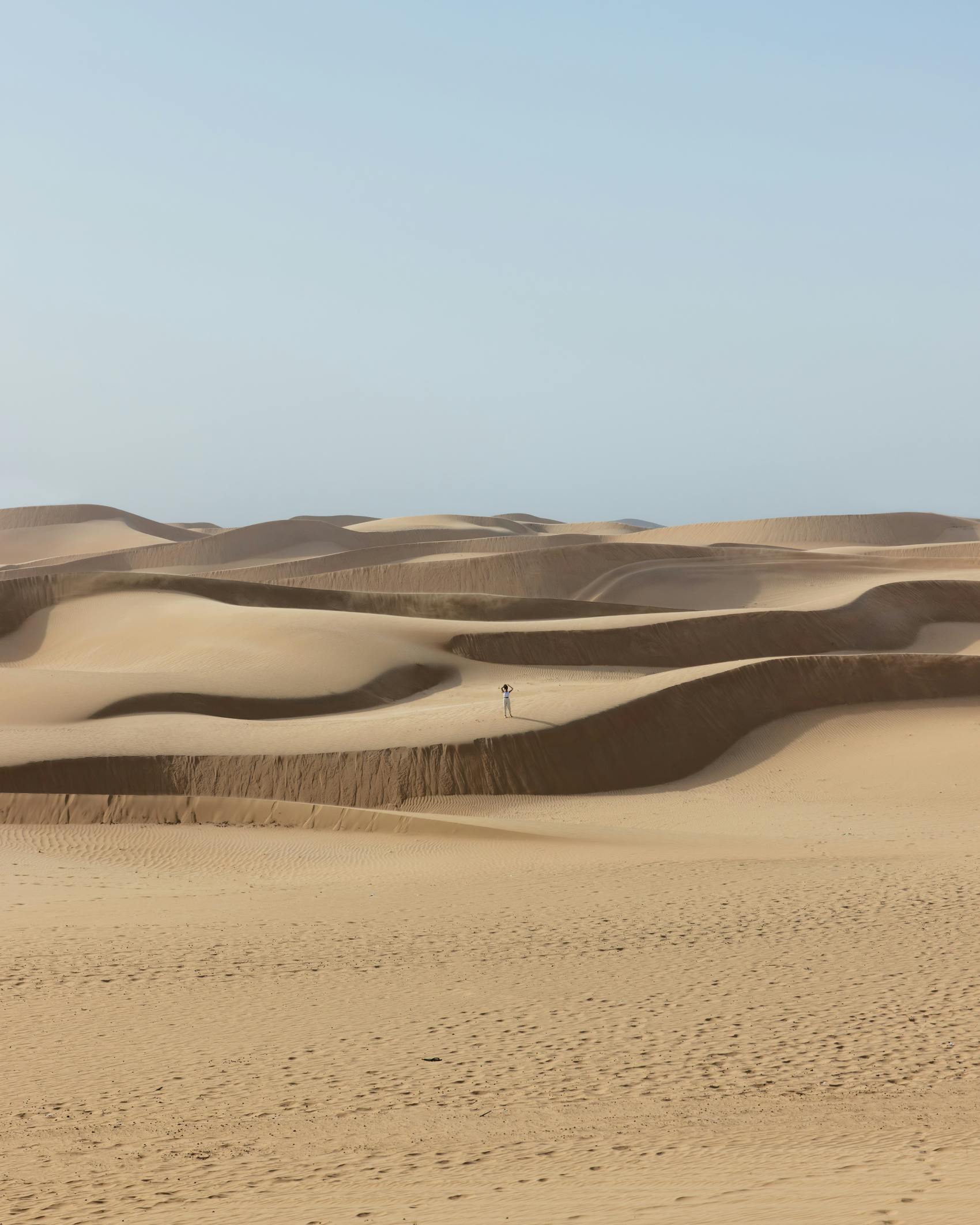 Desert in Abu Dhabi