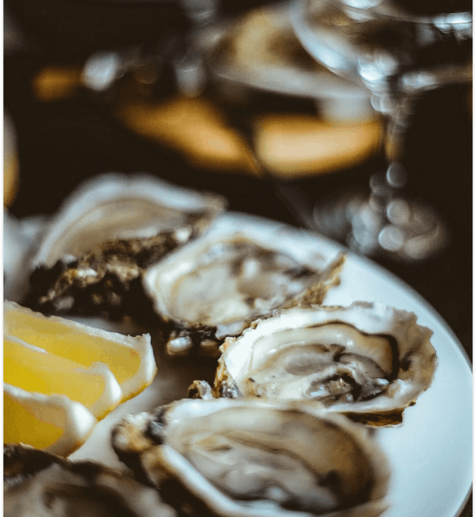 Oysters on a plate at Nammos Villas