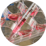 Bioanalysis