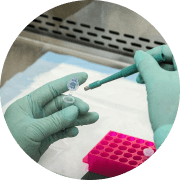 RNA therapeutics