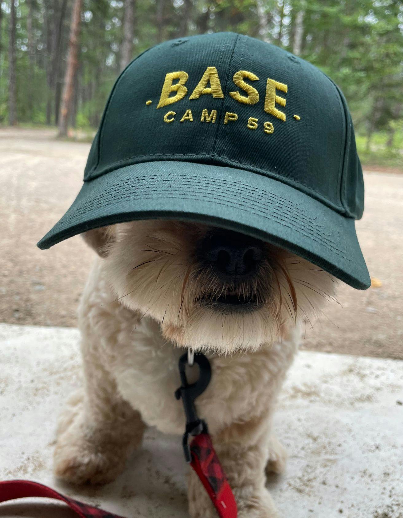 White and brown dog with a green hat that says "Base Camp 59" on its head sitting outside