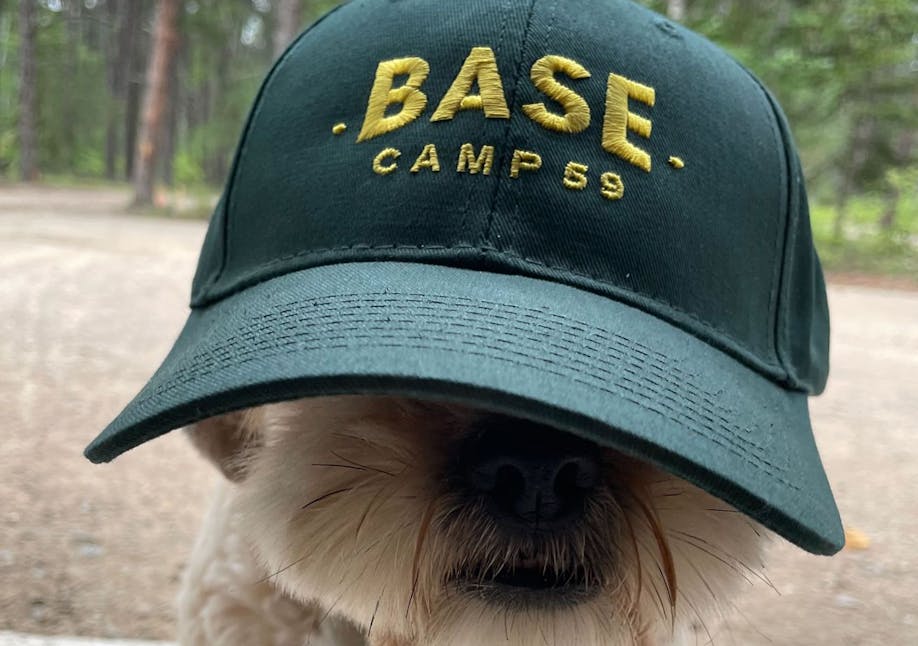 White and brown dog with a green hat that says "Base Camp 59" on its head sitting outside