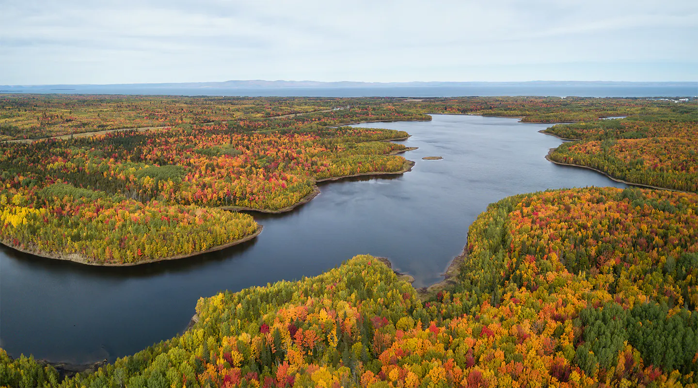 Aerial view of a scenic landscape in the fall with a river flowing through the trees