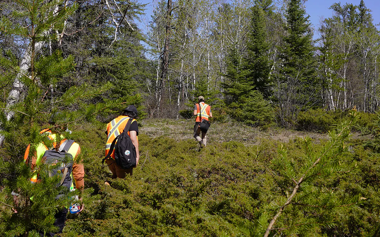 Guardians wearing PPE walk through a forest