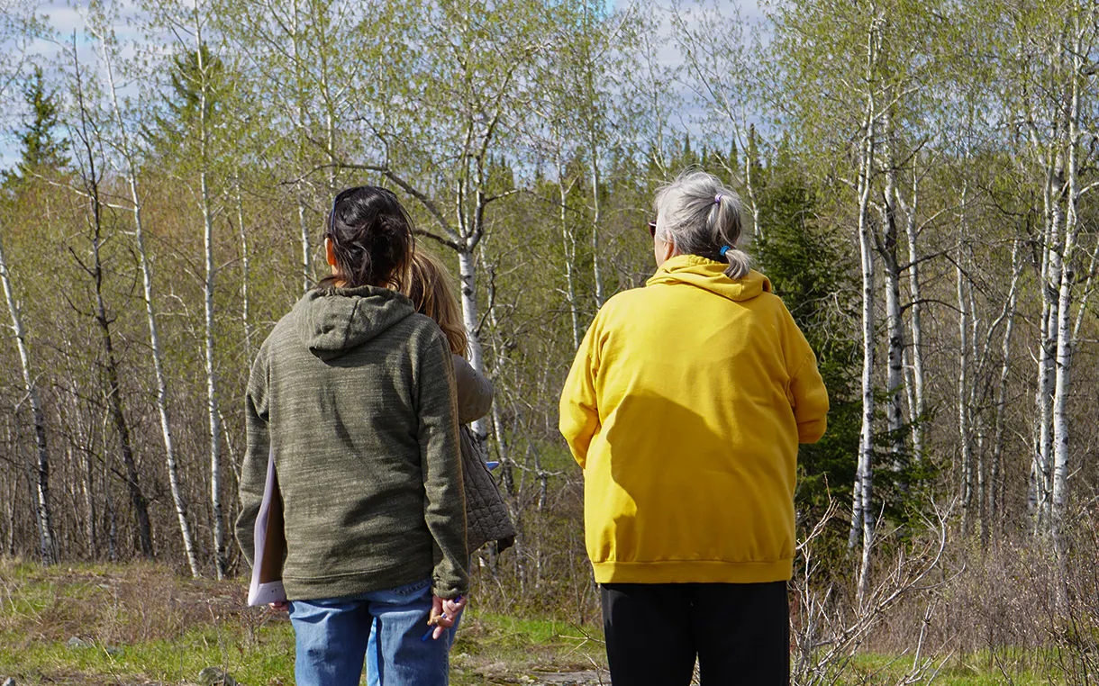 Two people stand outdoors with their backs to the camera, looking across a clearing toward a forest of birch and evergreen trees. The person on the left wears an olive green hooded sweatshirt and blue jeans while holding a binder, and the person on the right wears a bright yellow hoodie.