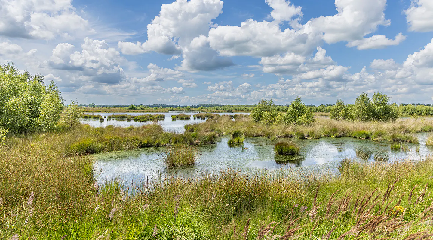 A scenic view of a prairie landscape with a bright blue sky. There are small bodies of water throughout the land.