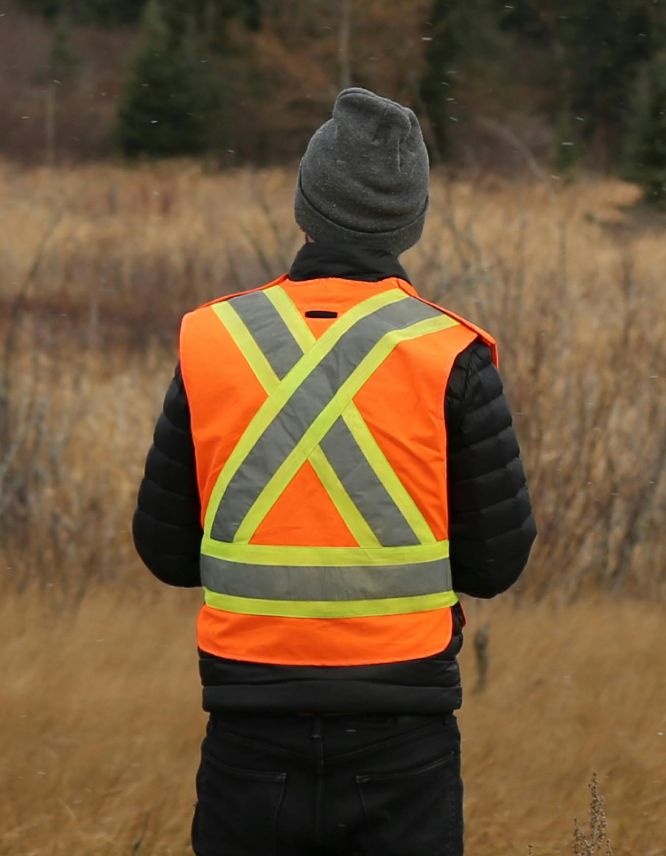The back of a person wearing a toque jacket and reflective vest standing in an area of ground bush