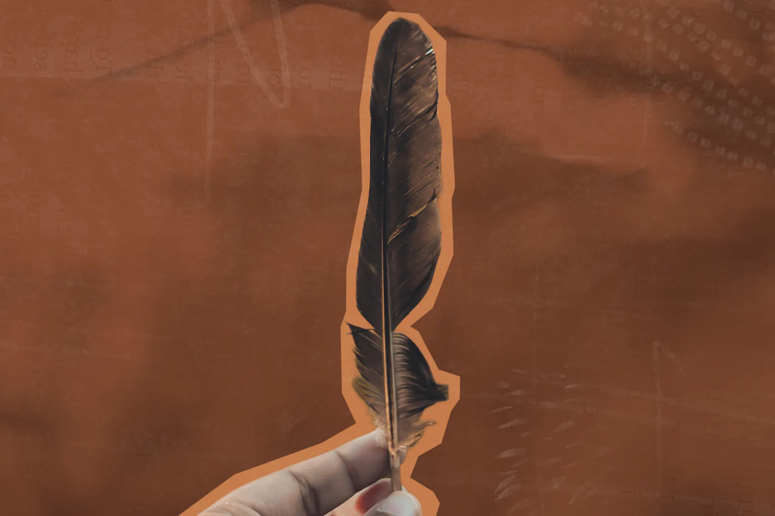 A hand holds out a birds feather