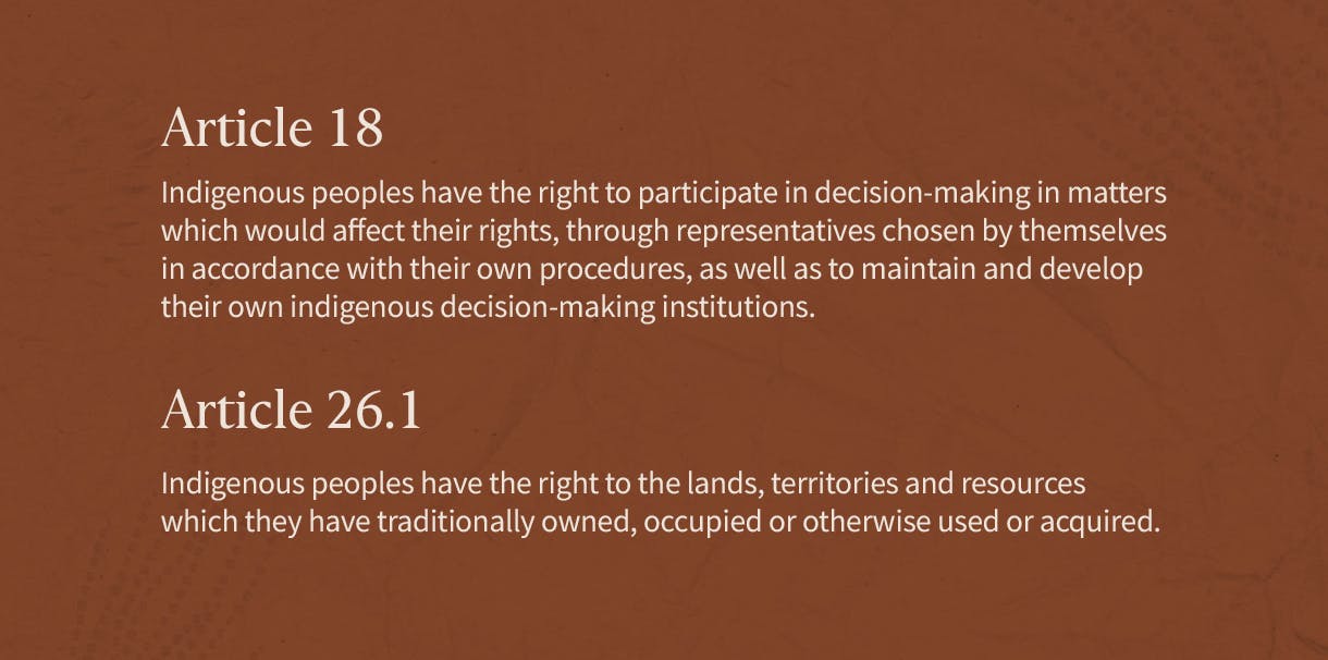 Article 18

Indigenous peoples have the right to participate in decision-making in matters which would affect their rights, through representatives chosen by themselves in accordance with their own procedures, as well as to maintain and develop their own indigenous decision-making institutions.

Article 26.1

Indigenous peoples have the right to the lands, territories and resources which they have traditionally owned, occupied or otherwise used or acquired.