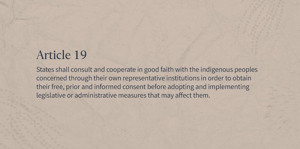 Article 19

States shall consult and cooperate in good faith with the indigenous peoples concerned through their own representative institutions in order to obtain their free, prior and informed consent before adopting and implementing legislative or administrative measures that may affect them.