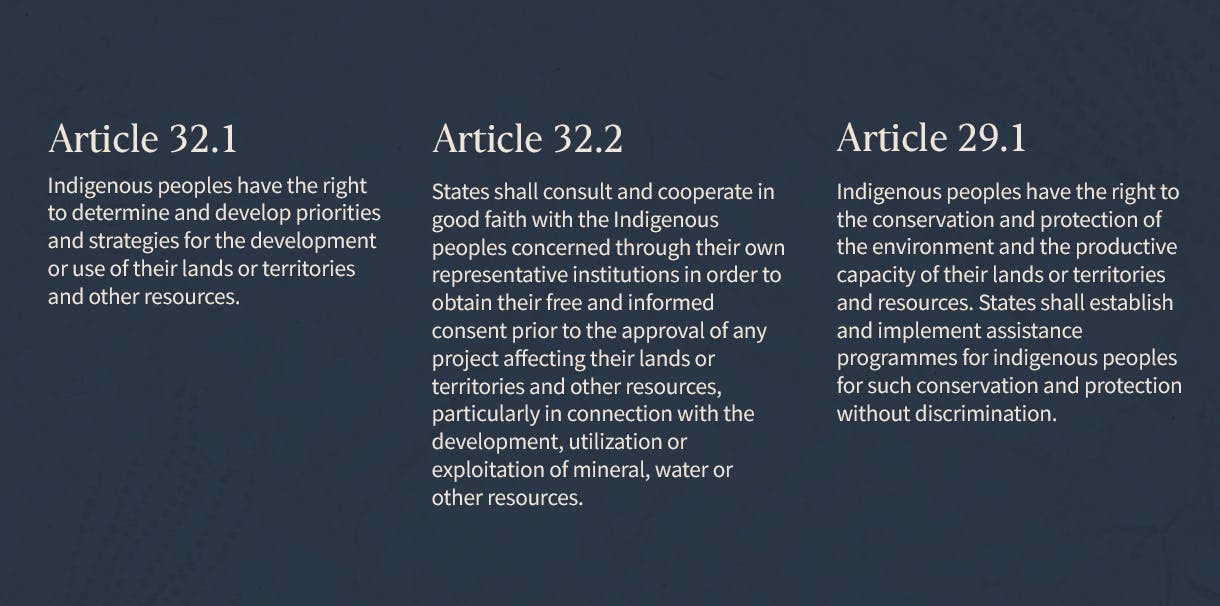 Article 32.1

Indigenous peoples have the right to determine and develop priorities and strategies for the development or use of their lands or territories and other resources.

Article 32.2

States shall consult and cooperate in good faith with the Indigenous peoples concerned through their own representative institutions in order to obtain their free and informed consent prior to the approval of any project affecting their lands or territories and other resources, particularly in connection with the development, utilization or exploitation of mineral, water or other resources.

Article 29.1

Indigenous peoples have the right to the conservation and protection of the environment and the productive capacity of their lands or territories and resources. States shall establish and implement assistance programmes for indigenous peoples for such conservation and protection without discrimination.