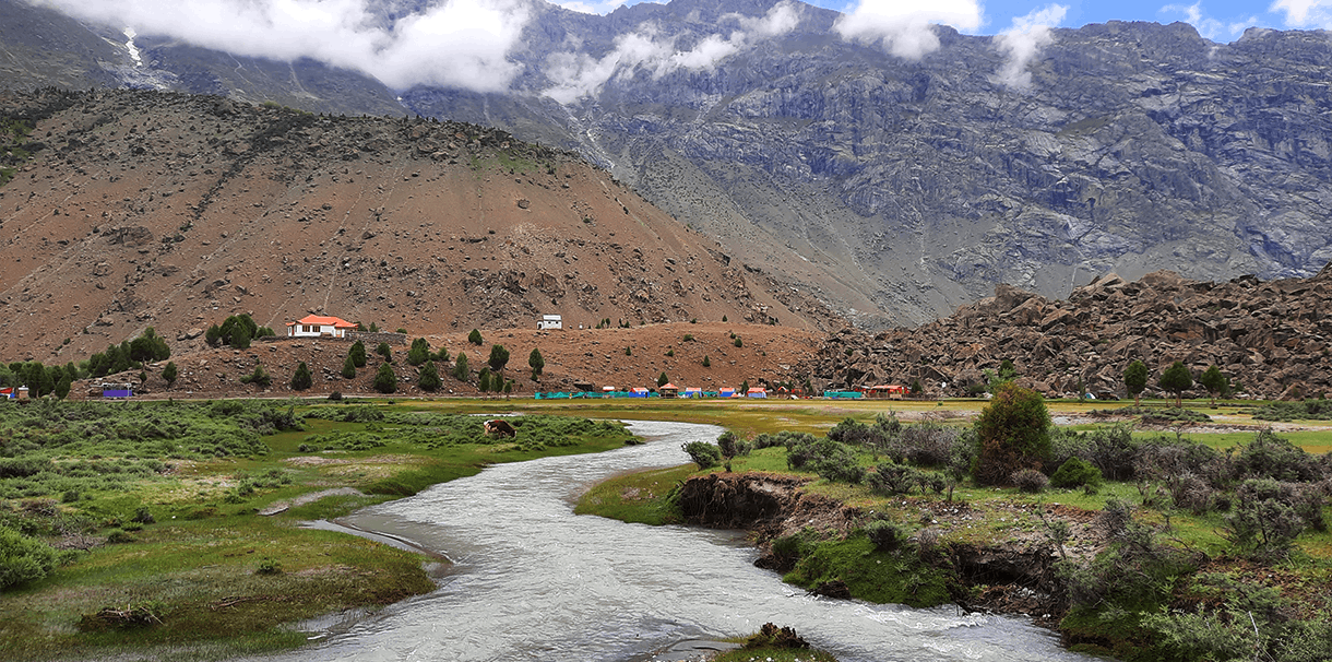 a gravel road leading through a green field with a mountainous background