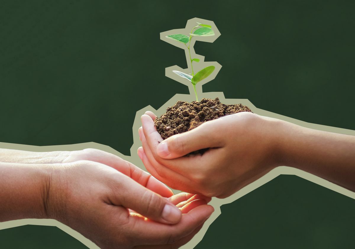 two hands come together holding a seedling in dirt. 