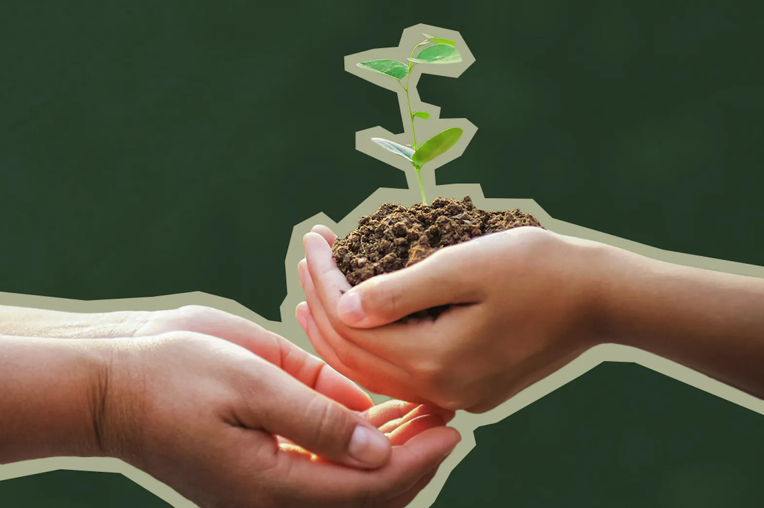 two hands come together holding a seedling in dirt.