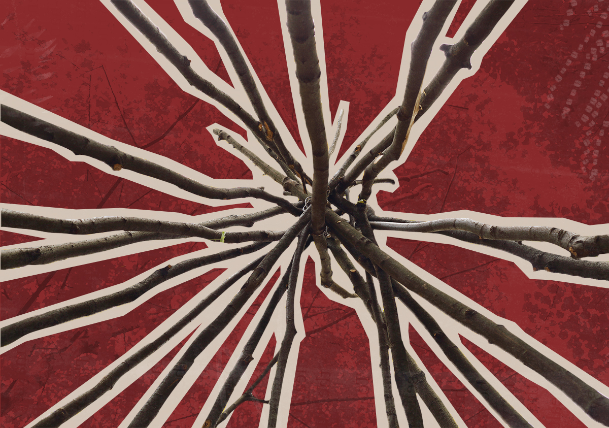 View looking up at the inside of a wooden tipi