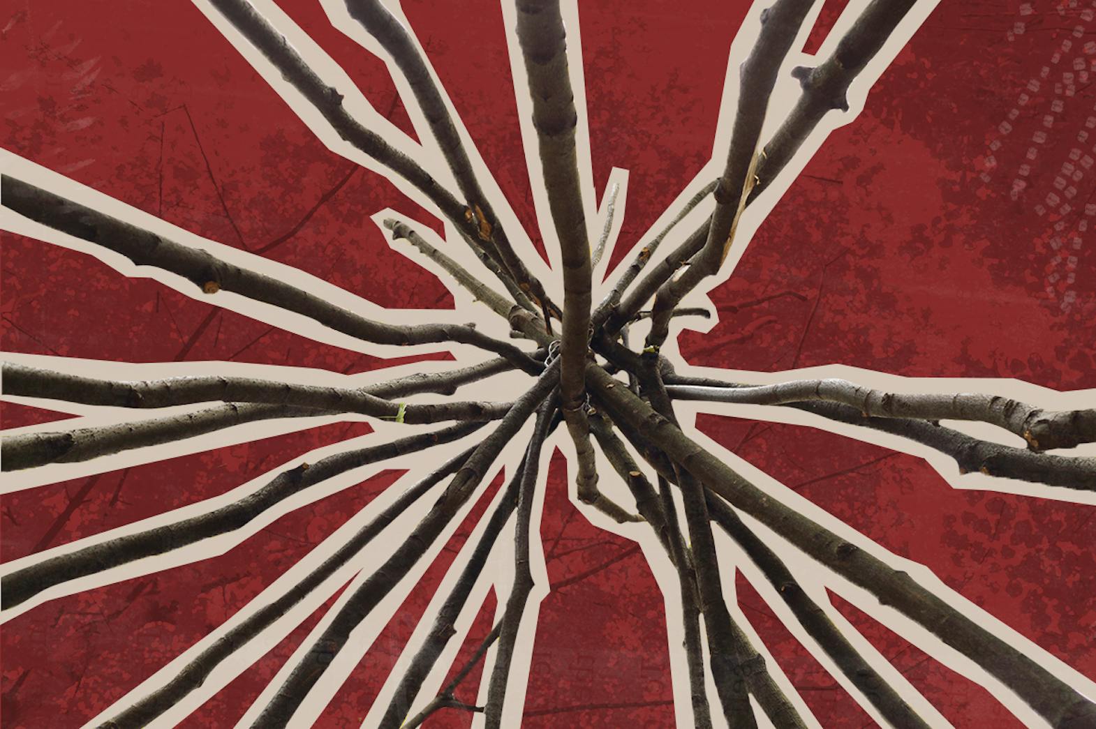 View looking up at the inside of a wooden tipi