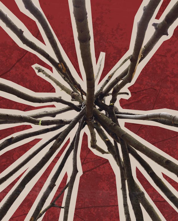 View looking up at the inside of a wooden tipi